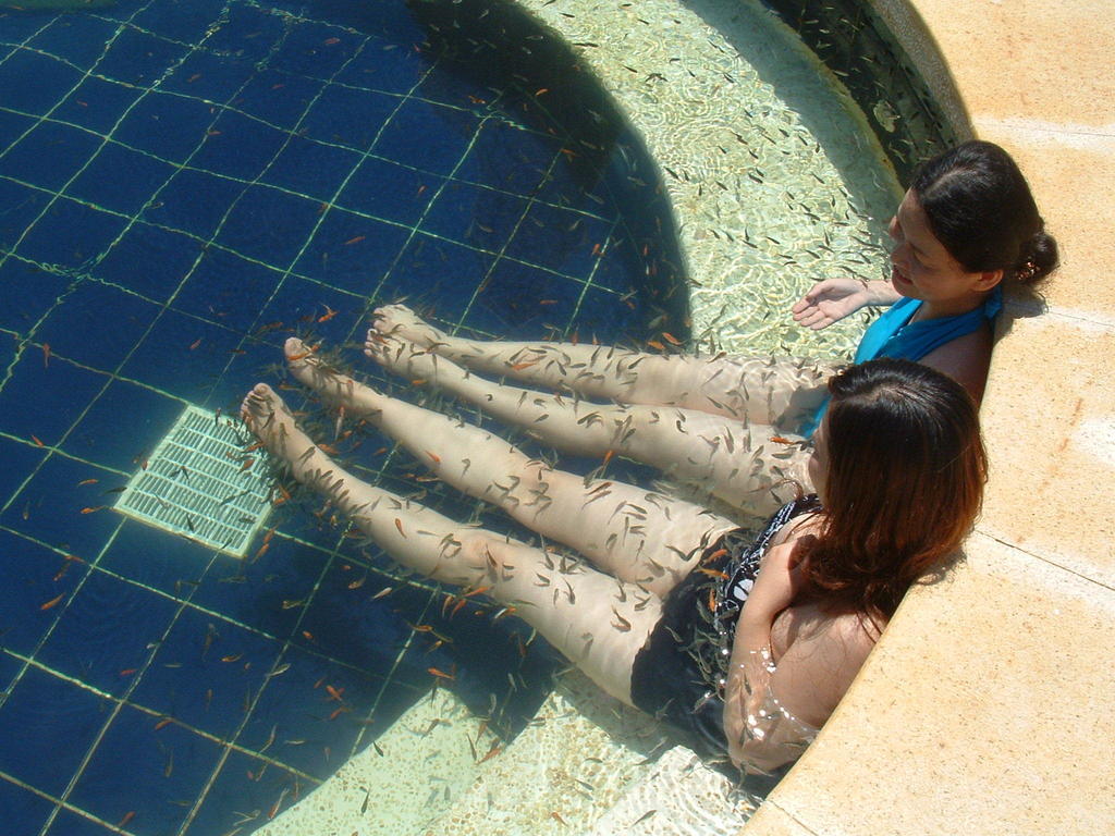 Cactus Resort Sanya By Gloria Exterior photo